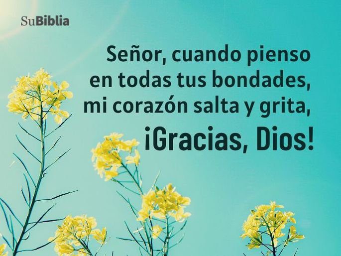 Agradece por las bendiciones que has recibido