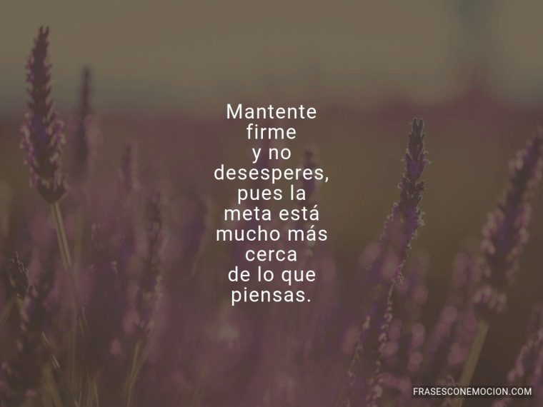 "El valor consiste en la fuerza del ánimo, que vence las cosas difíciles"