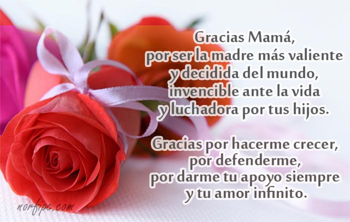 Escribe un mensaje personalizado para tu madre, expresando tu amor y gratitud