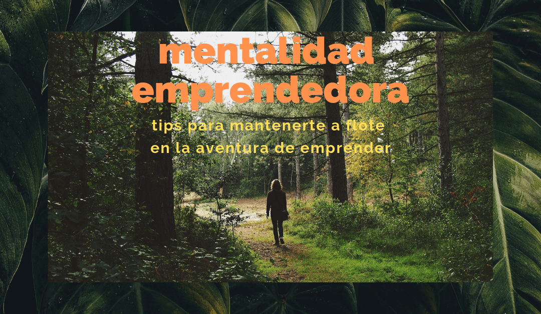 Sección 1 - Mentalidad emprendedora